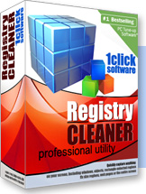 Reg Cleaner